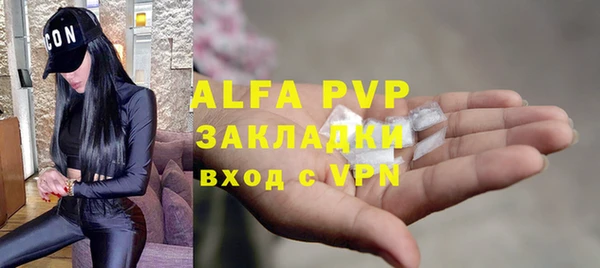 гидра Каменногорск