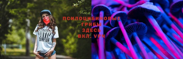 jwh Карпинск