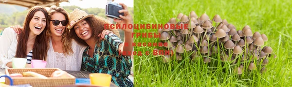кокаин перу Касимов