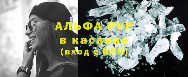 гидра Каменногорск