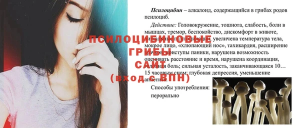 гидра Каменногорск